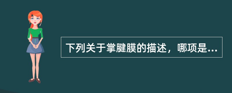 下列关于掌腱膜的描述，哪项是不正确的（）。