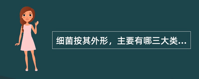 细菌按其外形，主要有哪三大类（）