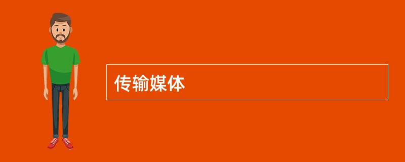传输媒体