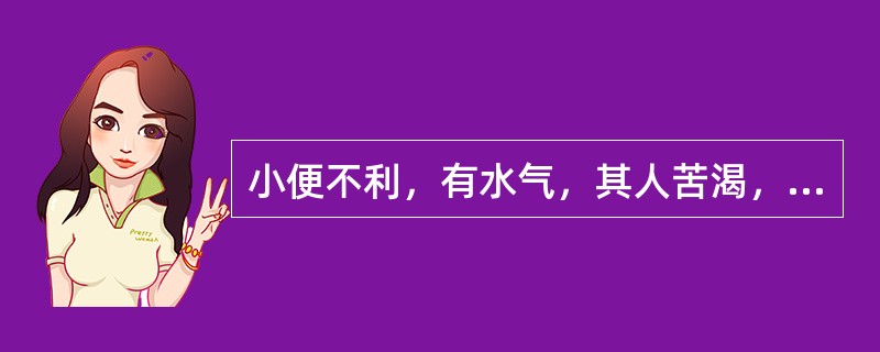 小便不利，有水气，其人苦渴，小腹怕冷者，治宜（）