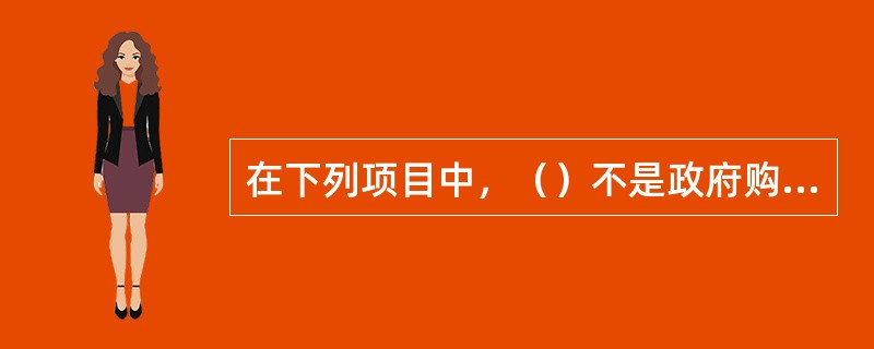在下列项目中，（）不是政府购买？