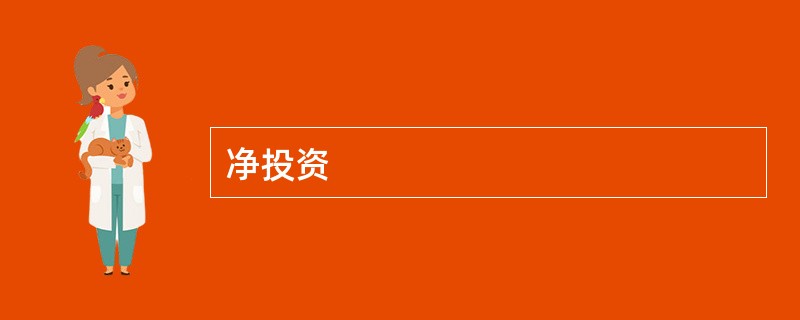 净投资