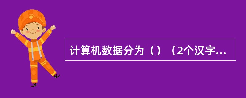 计算机数据分为（）（2个汉字）数据和非数值数据。.