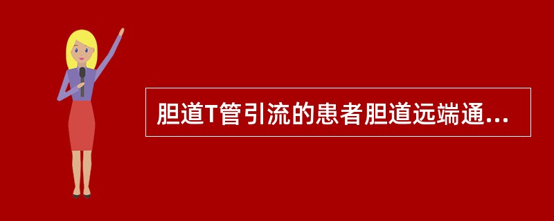 胆道T管引流的患者胆道远端通畅的表现是（）