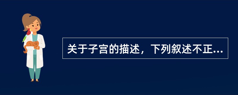 关于子宫的描述，下列叙述不正确的是（）