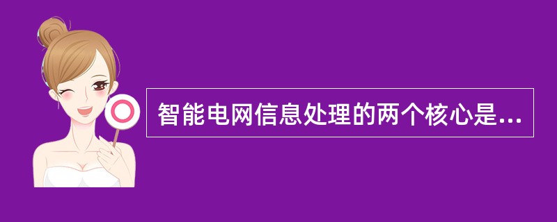 智能电网信息处理的两个核心是（）。