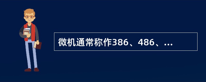 微机通常称作386、486、586机，这是指该机配置的（）而言。