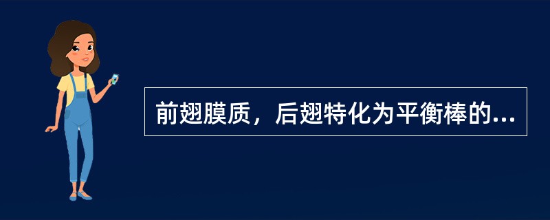 前翅膜质，后翅特化为平衡棒的昆虫是（）。?