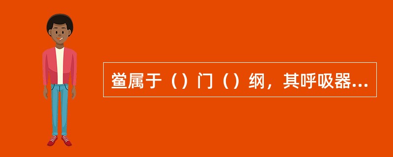 鲎属于（）门（）纲，其呼吸器官为（）。节