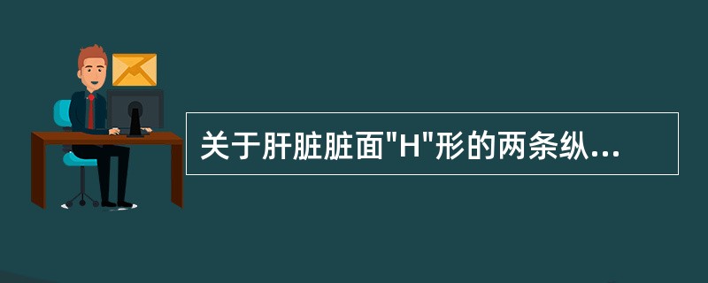 关于肝脏脏面"H"形的两条纵沟和一条横沟，错误的说法是（）