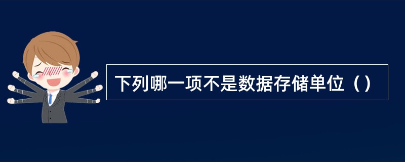 下列哪一项不是数据存储单位（）