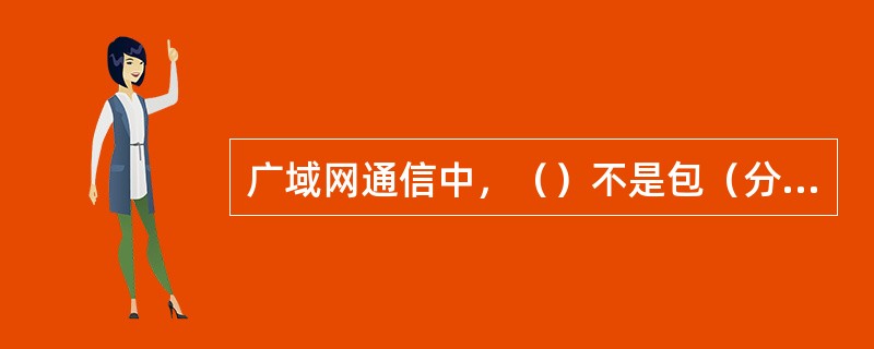 广域网通信中，（）不是包（分组）交换机的任务。