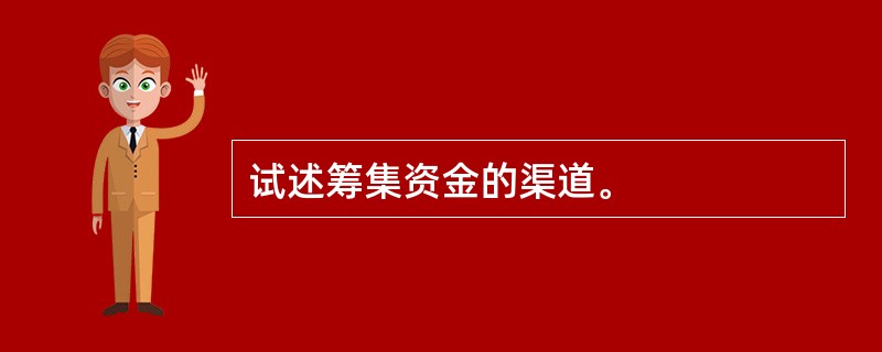 试述筹集资金的渠道。