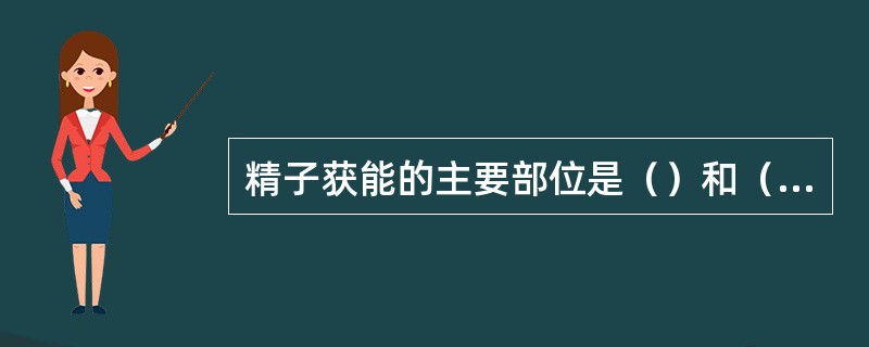 精子获能的主要部位是（）和（），卵子受精部位是（）。