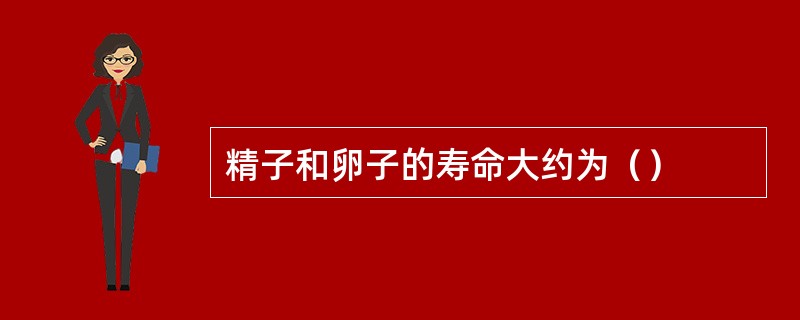 精子和卵子的寿命大约为（）