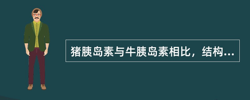 猪胰岛素与牛胰岛素相比，结构上更接近人胰岛素。