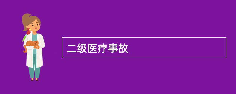 二级医疗事故