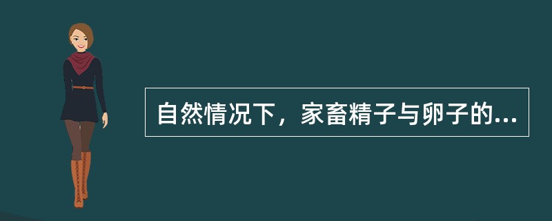 自然情况下，家畜精子与卵子的受精部位（）。