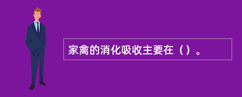 家禽的消化吸收主要在（）。