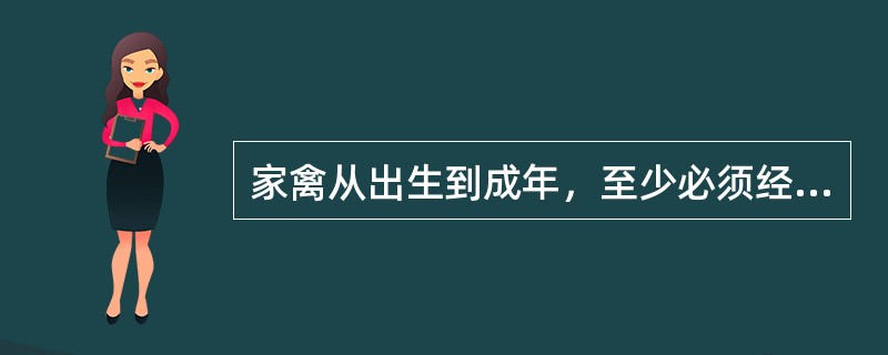 家禽从出生到成年，至少必须经历（）次羽毛的更换。