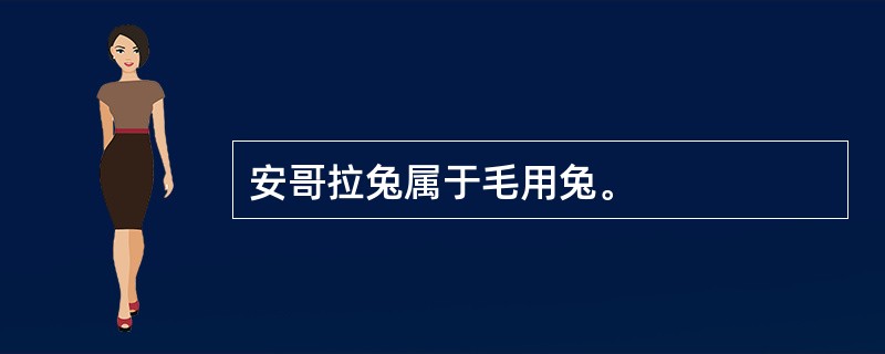 安哥拉兔属于毛用兔。