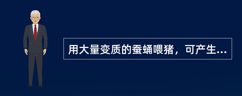 用大量变质的蚕蛹喂猪，可产生“（）肉”