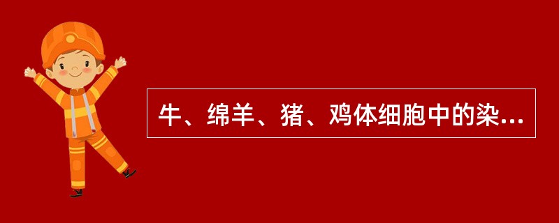 牛、绵羊、猪、鸡体细胞中的染色体数目依次分别为（）、（）、（）、（）条，性细胞中