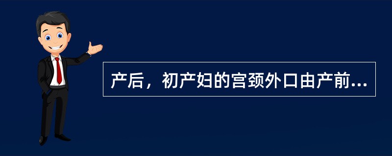 产后，初产妇的宫颈外口由产前（）形变为产后（）。