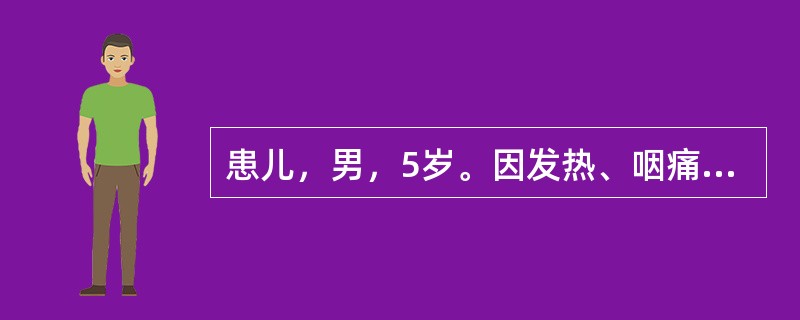 患儿，男，5岁。因发热、咽痛、呼吸困难2天入院，查体：T38.6℃，P100次／