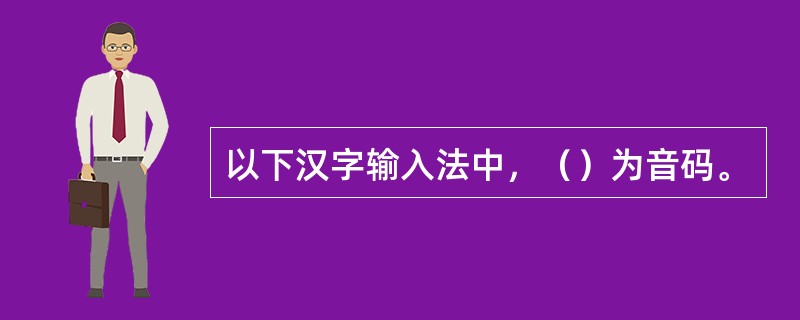 以下汉字输入法中，（）为音码。