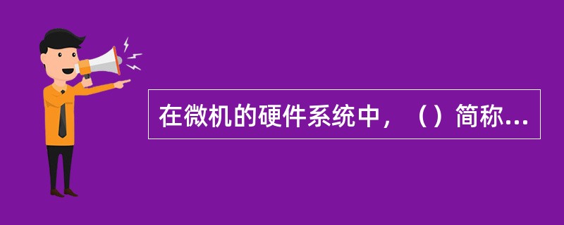 在微机的硬件系统中，（）简称为I/O设备。