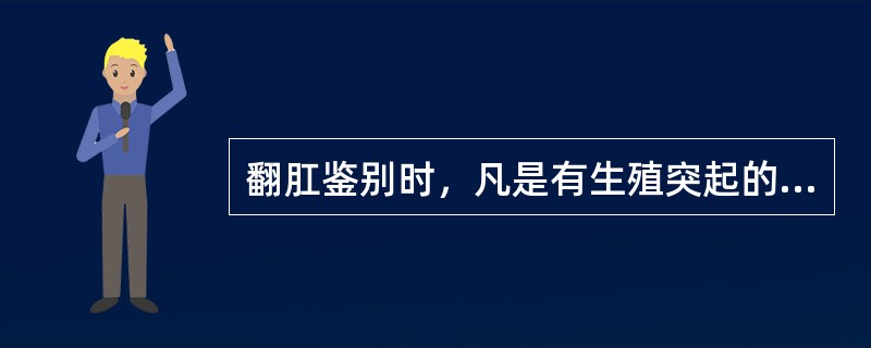 翻肛鉴别时，凡是有生殖突起的雏鸡均为公雏。