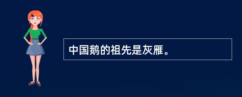 中国鹅的祖先是灰雁。