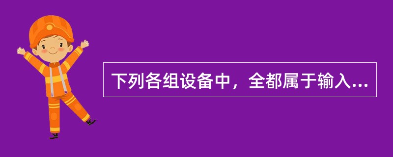 下列各组设备中，全都属于输入设备的一组是（）。