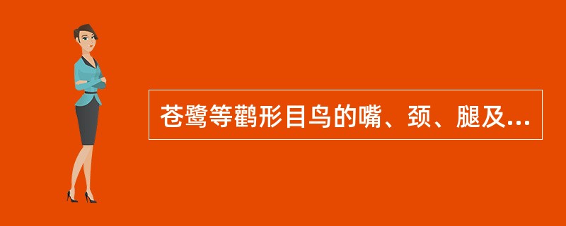 苍鹭等鹳形目鸟的嘴、颈、腿及趾均长。4趾不在同一平面上。（）
