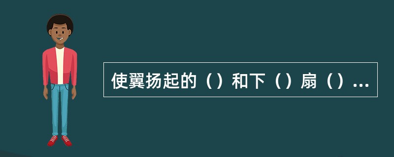 使翼扬起的（）和下（）扇（）十分发达，它们的起点均附着在（）上，通过特殊的联结方