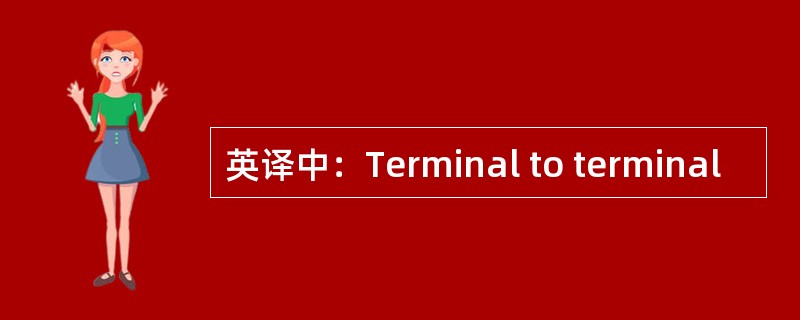 英译中：Terminal to terminal