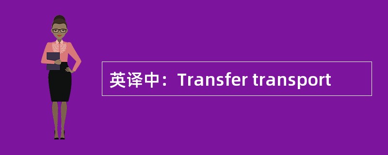 英译中：Transfer transport
