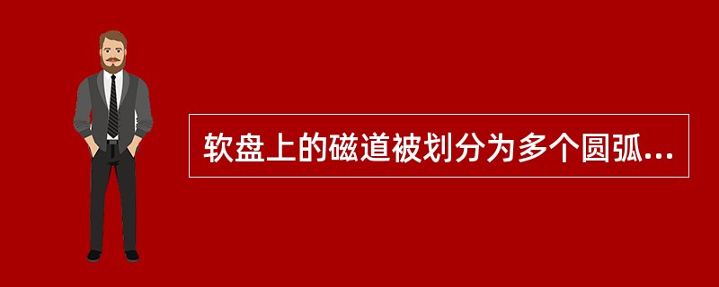 软盘上的磁道被划分为多个圆弧区域，该区域称为（）