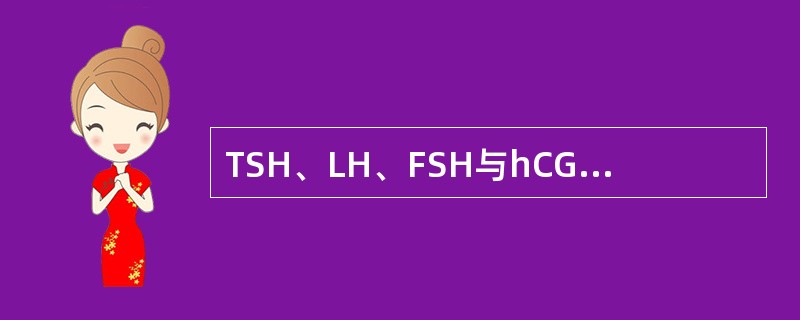 TSH、LH、FSH与hCG的结构差别是()