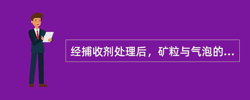 经捕收剂处理后，矿粒与气泡的附着时间大大延长。