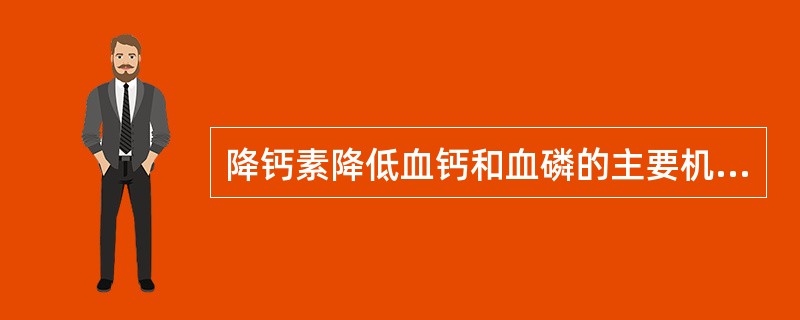 降钙素降低血钙和血磷的主要机制是（）