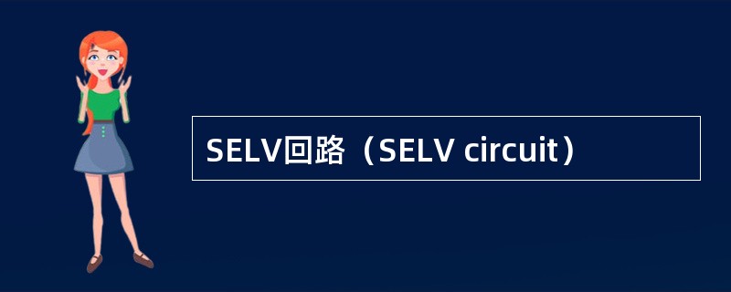 SELV回路（SELV circuit）