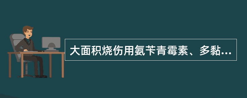 大面积烧伤用氨苄青霉素、多黏菌素治疗7天后，骤起寒战、高热(39.5℃～40℃)