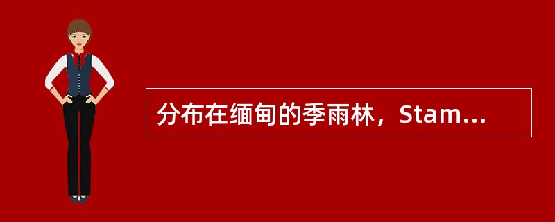 分布在缅甸的季雨林，Stamp等人划分为潘卡多林季雨林，潮湿柚目林，（）。