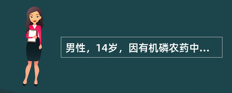 男性，14岁，因有机磷农药中毒入院治疗，在治疗过程中出现阿托品中毒，应立即给予（