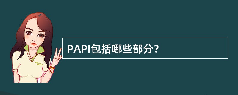 PAPI包括哪些部分？