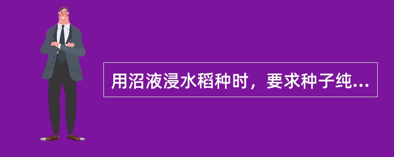 用沼液浸水稻种时，要求种子纯度达到（）以上。