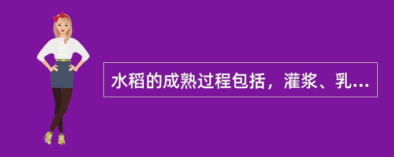 水稻的成熟过程包括，灌浆、乳熟、蜡熟和（）.