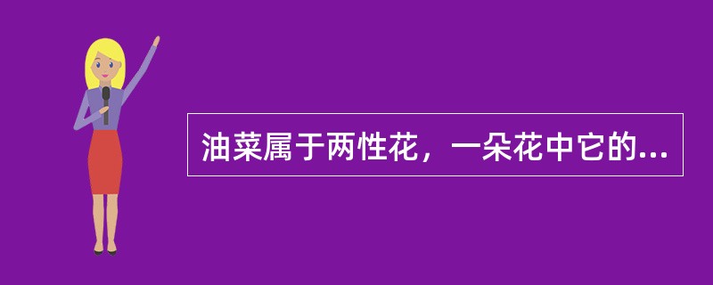 油菜属于两性花，一朵花中它的雌蕊是1枚，而雄蕊是（）枚.